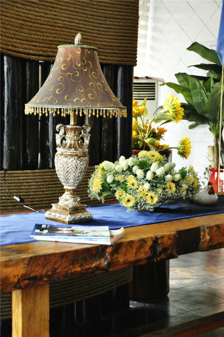 康莉窗帘投资预估