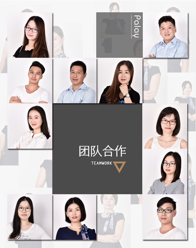 研发团队